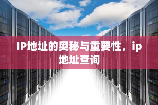 IP地址的奥秘与重要性，ip地址查询
