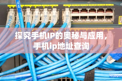 探究手机IP的奥秘与应用，手机ip地址查询