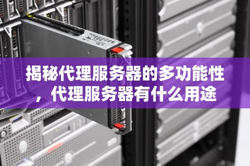 揭秘代理服务器的多功能性，代理服务器有什么用途