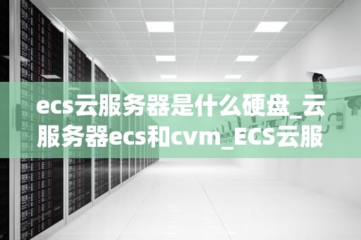 ecs云服务器是什么硬盘_云服务器ecs和cvm_ECS云服务器硬盘的全面解析