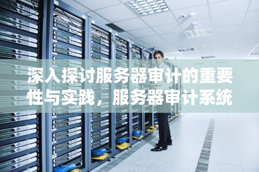 深入探讨服务器审计的重要性与实践，服务器审计系统