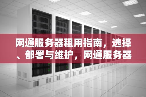网通服务器租用指南，选择、部署与维护，网通服务器租用多少钱