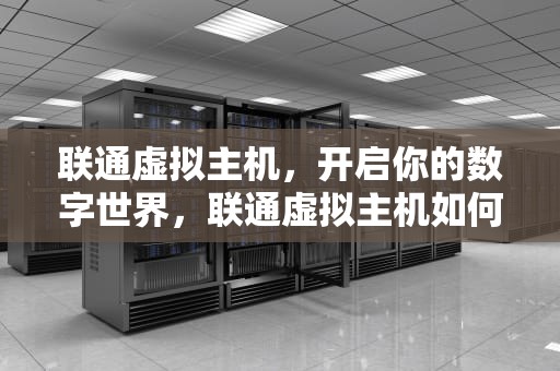 联通虚拟主机，开启你的数字世界，联通虚拟主机如何设置