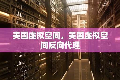 美国虚拟空间，美国虚拟空间反向代理