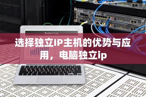 选择独立IP主机的优势与应用，电脑独立ip