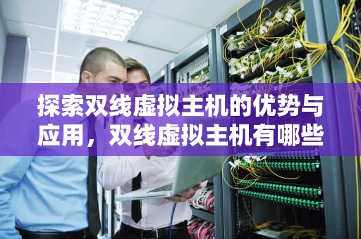 探索双线虚拟主机的优势与应用，双线虚拟主机有哪些