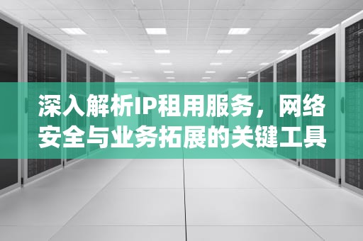 深入解析IP租用服务，网络安全与业务拓展的关键工具，ip租用时间是什么意思