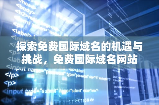探索免费国际域名的机遇与挑战，免费国际域名网站