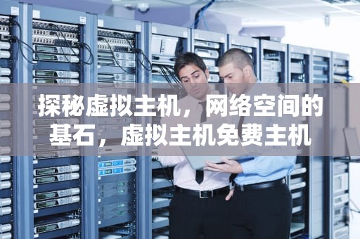 探秘虚拟主机，网络空间的基石，虚拟主机免费主机