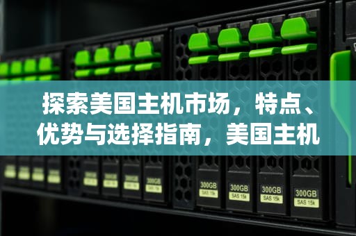 探索美国主机市场，特点、优势与选择指南，美国主机vps论坛