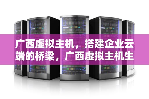 广西虚拟主机，搭建企业云端的桥梁，广西虚拟主机生产厂家