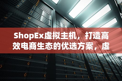 ShopEx虚拟主机，打造高效电商生态的优选方案，虚拟主机vps