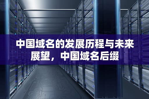 中国域名的发展历程与未来展望，中国域名后缀