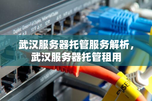 武汉服务器托管服务解析，武汉服务器托管租用