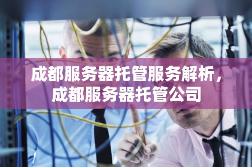 成都服务器托管服务解析，成都服务器托管公司