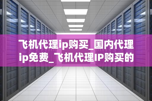 飞机代理ip购买_国内代理ip免费_飞机代理IP购买的全面指南
