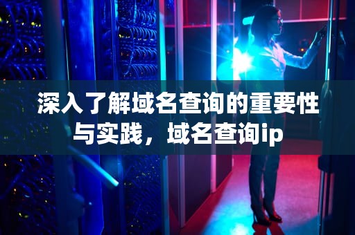 深入了解域名查询的重要性与实践，域名查询ip