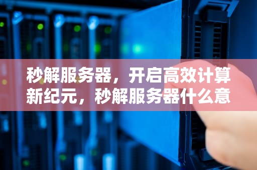 秒解服务器，开启高效计算新纪元，秒解服务器什么意思
