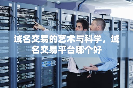 域名交易的艺术与科学，域名交易平台哪个好