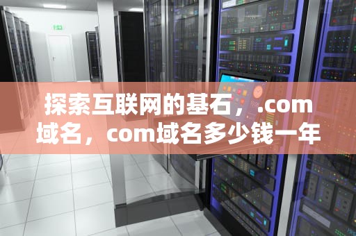 探索互联网的基石，.com域名，com域名多少钱一年