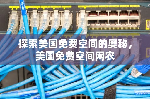 探索美国免费空间的奥秘，美国免费空间网农