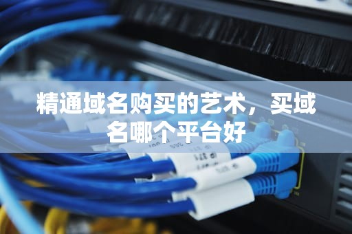 精通域名购买的艺术，买域名哪个平台好