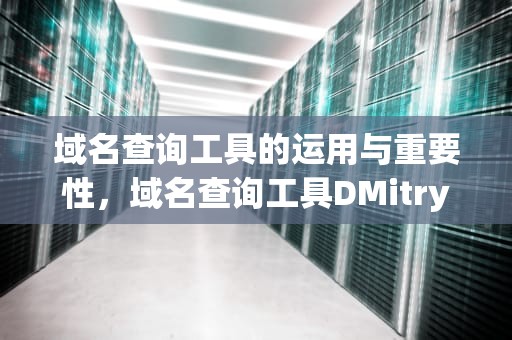 域名查询工具的运用与重要性，域名查询工具DMitry