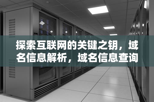探索互联网的关键之钥，域名信息解析，域名信息查询