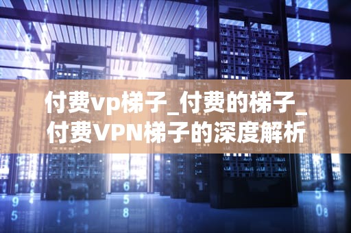 付费vp梯子_付费的梯子_付费VPN梯子的深度解析