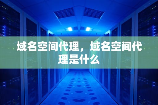 域名空间代理，域名空间代理是什么