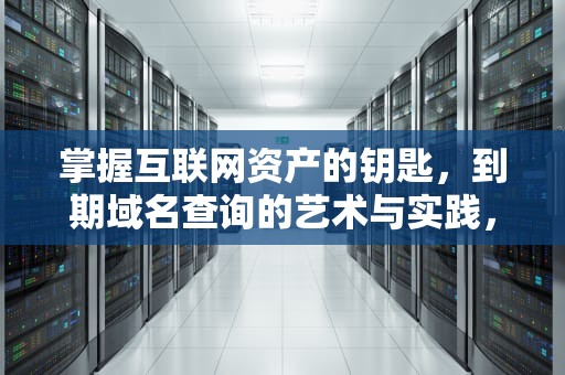 掌握互联网资产的钥匙，到期域名查询的艺术与实践，到期域名查询软件