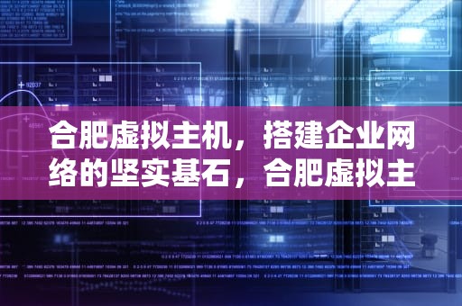 合肥虚拟主机，搭建企业网络的坚实基石，合肥虚拟主机生产厂家