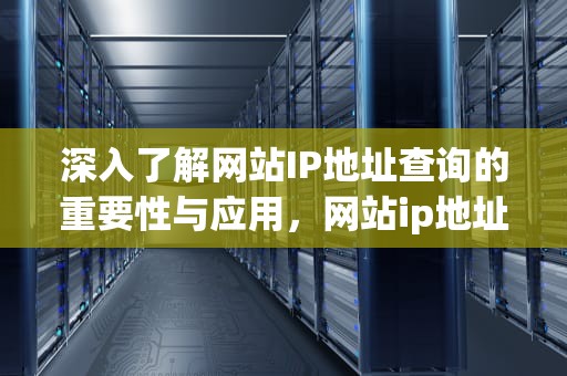 深入了解网站IP地址查询的重要性与应用，网站ip地址查询域名
