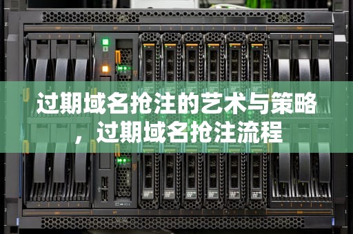 过期域名抢注的艺术与策略，过期域名抢注流程