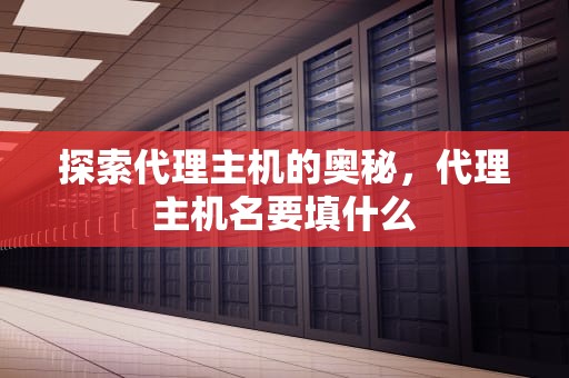探索代理主机的奥秘，代理主机名要填什么