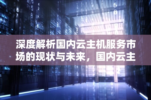深度解析国内云主机服务市场的现状与未来，国内云主机价格排名