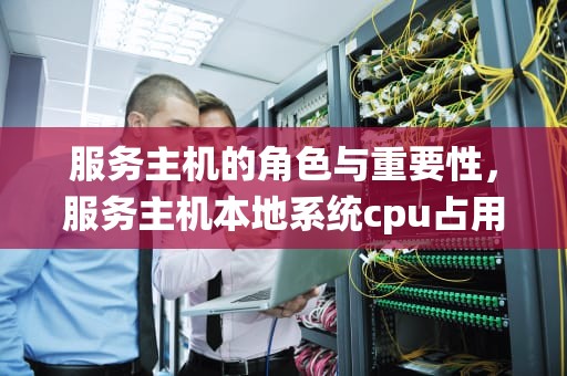 服务主机的角色与重要性，服务主机本地系统cpu占用高