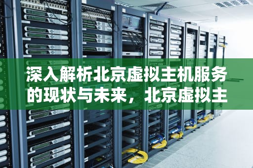 深入解析北京虚拟主机服务的现状与未来，北京虚拟主机免备案