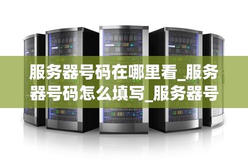 服务器号码在哪里看_服务器号码怎么填写_服务器号码的查看与理解