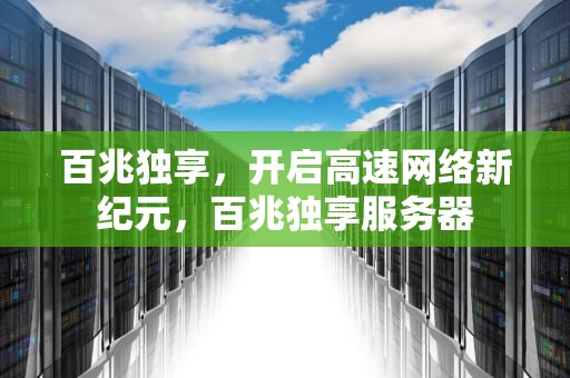 百兆独享，开启高速网络新纪元，百兆独享服务器