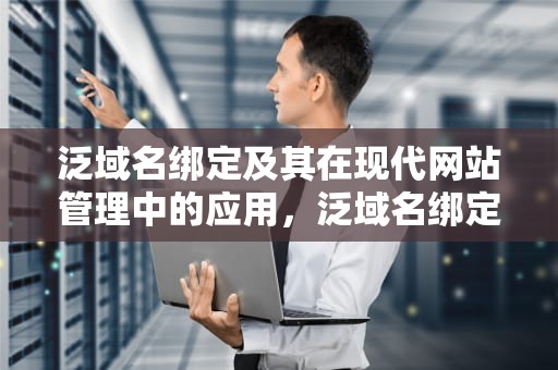 泛域名绑定及其在现代网站管理中的应用，泛域名绑定有什么好看的