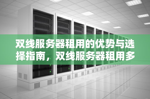 双线服务器租用的优势与选择指南，双线服务器租用多少钱