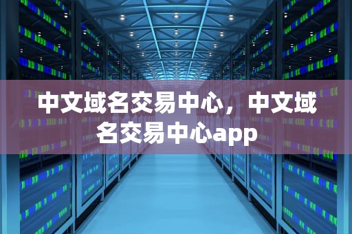 中文域名交易中心，中文域名交易中心app