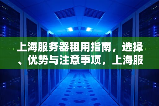 上海服务器租用指南，选择、优势与注意事项，上海服务器租用,网络服务