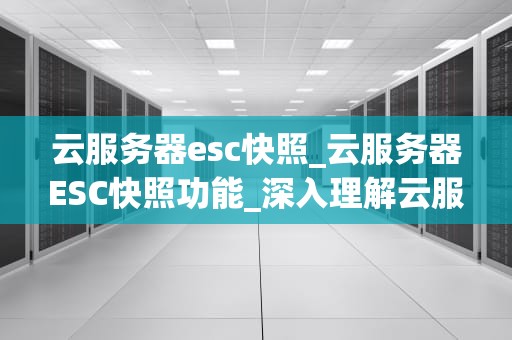 云服务器esc快照_云服务器ESC快照功能_深入理解云服务器ESC快照及其应用