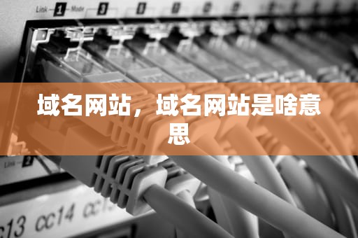 域名网站，域名网站是啥意思