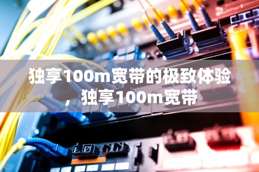 独享100m宽带的极致体验，独享100m宽带