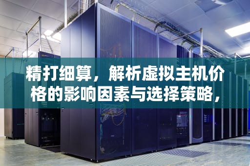 精打细算，解析虚拟主机价格的影响因素与选择策略，虚拟主机价格一般多少钱