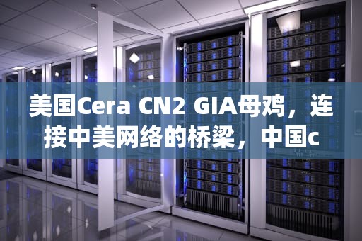 美国Cera CN2 GIA母鸡，连接中美网络的桥梁，中国cera cn2 gia母鸡