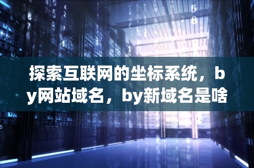 探索互联网的坐标系统，by网站域名，by新域名是啥